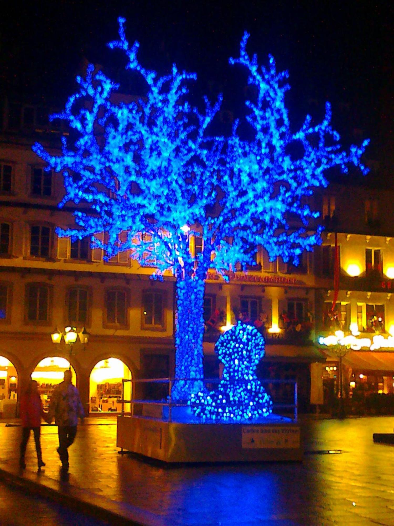 La Maison Bleue De Appartement *